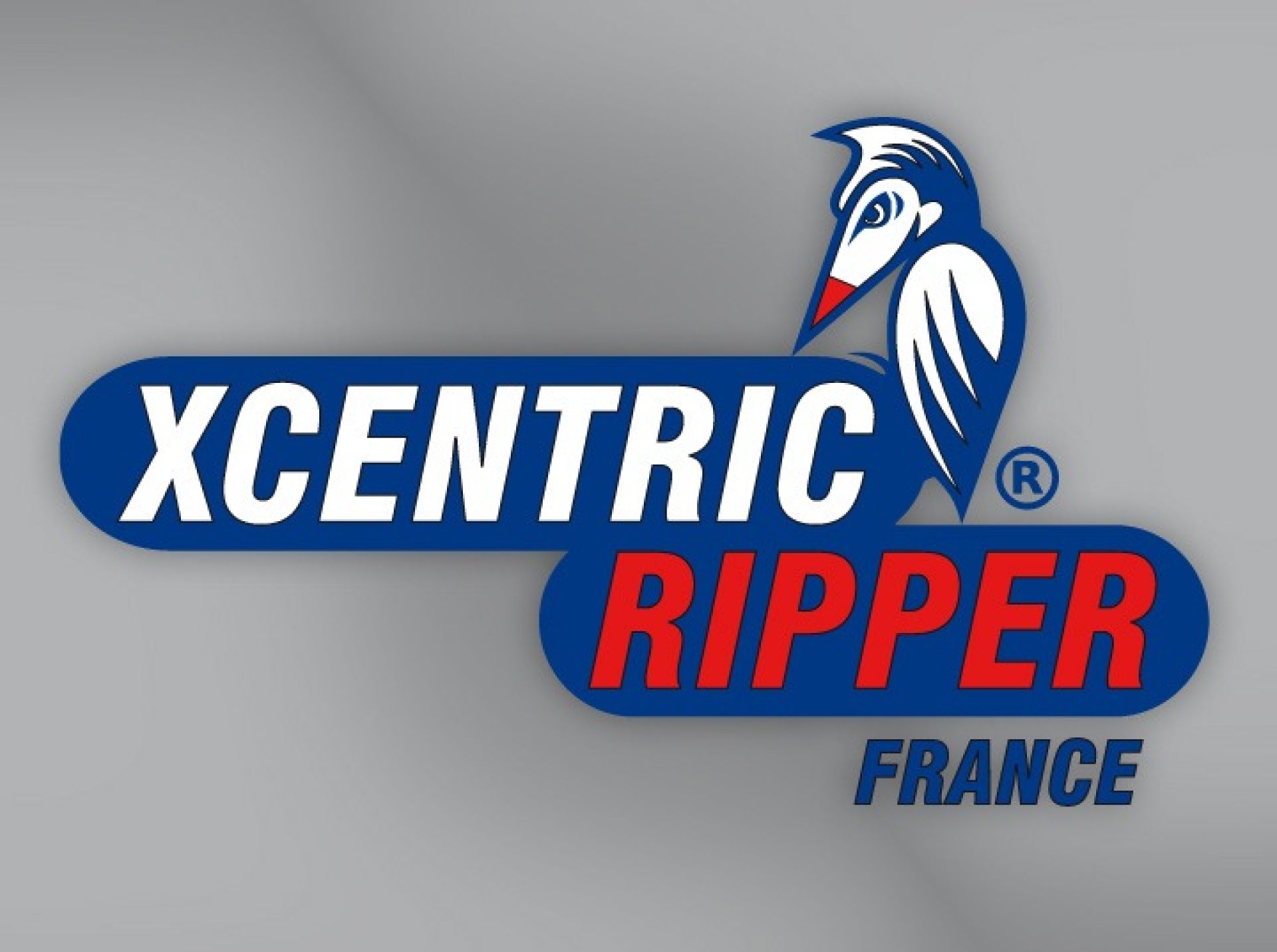 Xcentric Ripper France - Création de la société Xcentric Ripper France